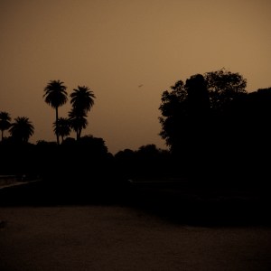 Dusk & Birdsong, From 'Rajasthan', Steven Lee 2009