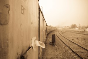 Journey to Jaipur, 'Rajasthan' Steven Lee 2009