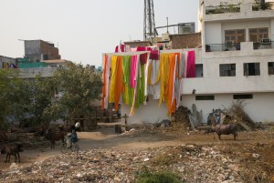 Drying sarees, Delhi suburbs, Steven Lee 2009