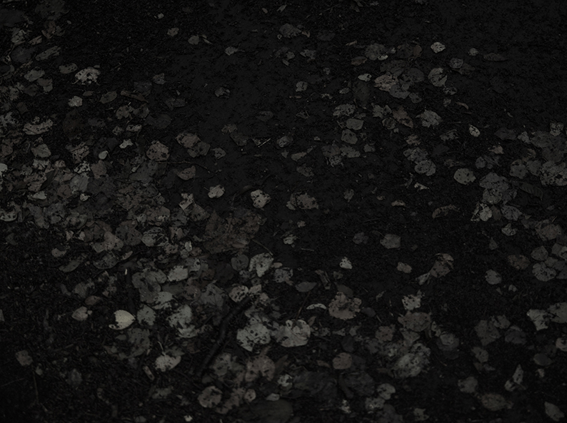 Kyoko Yamamoto Photography1