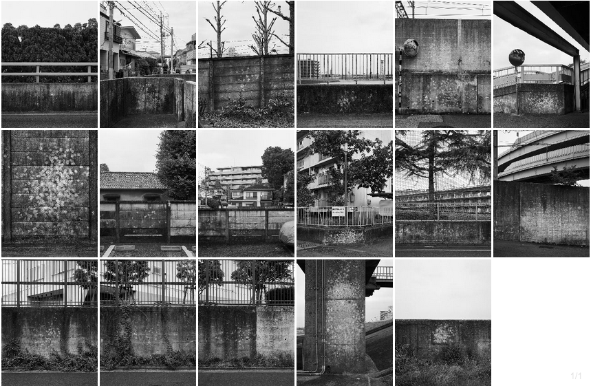 OKADA SUSUMU   白い痕跡