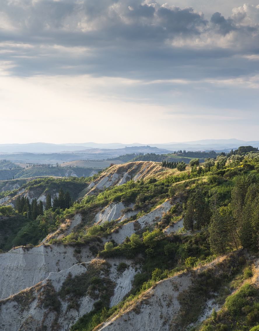 Daniela Cesarei Photography