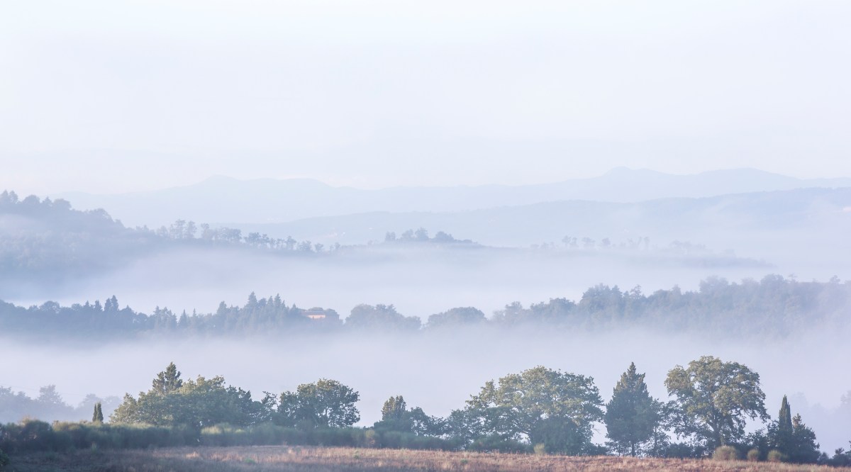 Daniela Cesarei Photography