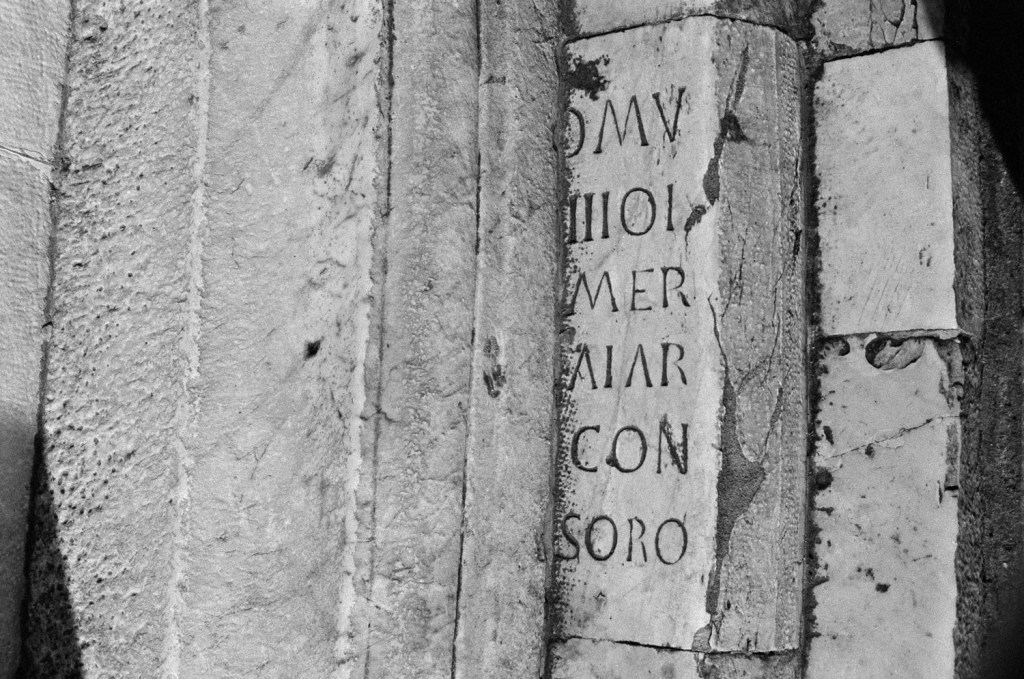 Copyright : Steven Lee 2009